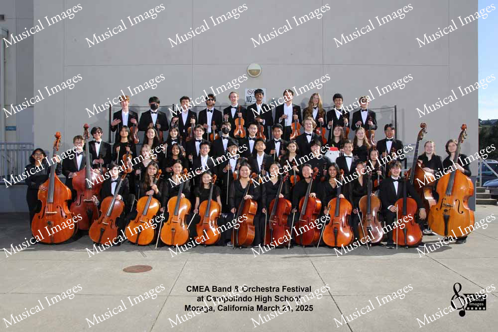 Musical Images
